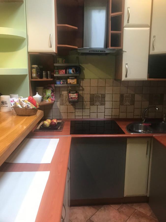Apartament Mickiewicza Перемишль Екстер'єр фото